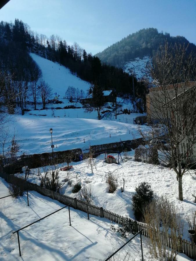 Ferienwohnung Elsa Immenstadt im Allgau Bagian luar foto